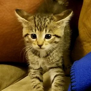 Meet your Posher, Bryce